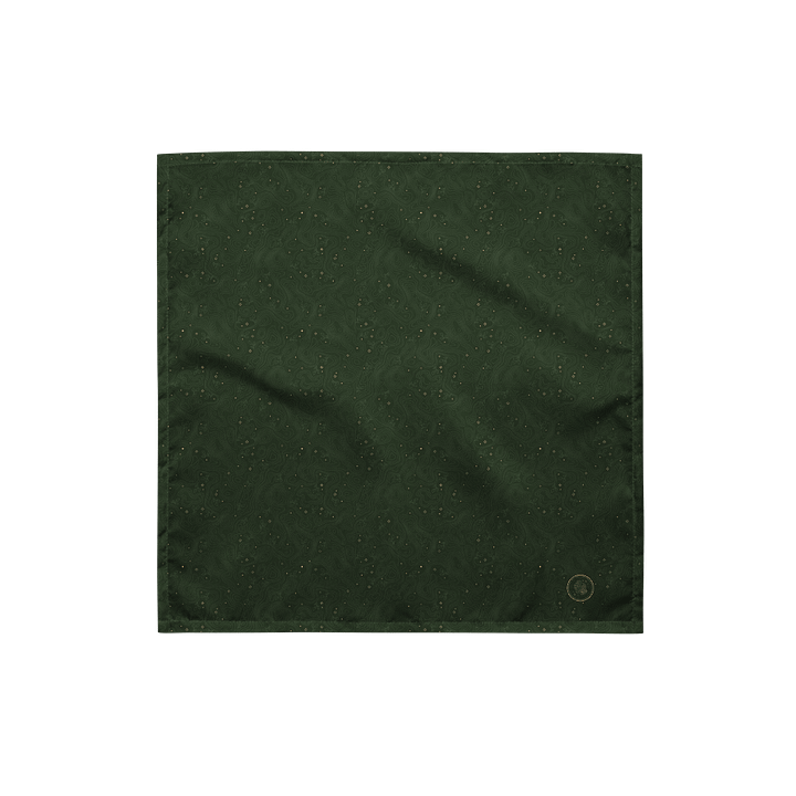 Thorne Topography Bandana (Medium Green) product image (1)