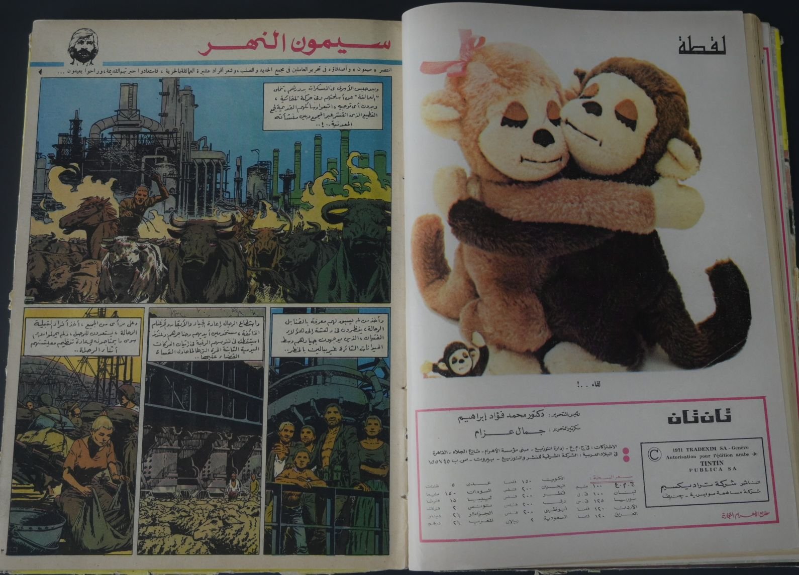 مجلد مجلة تان تان عام 1975 (المجلد السابع والاربعون) product image (4)