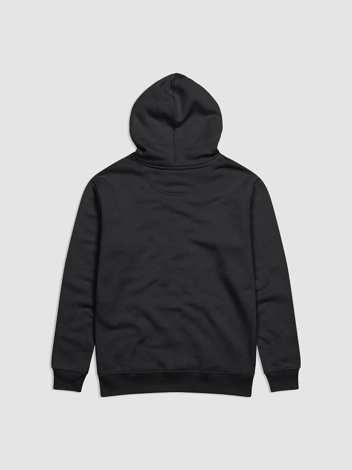 4 Fiddles Hoodie - Green/Blue product image (4)