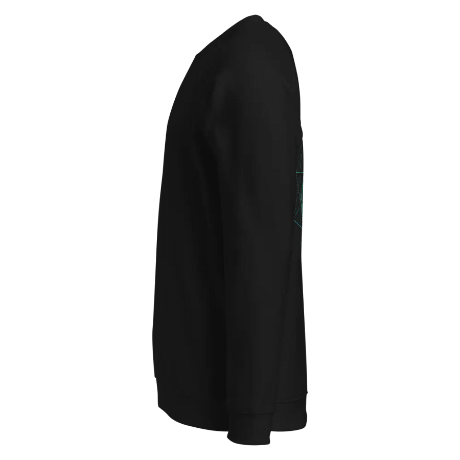 Eternal Wave Organic Raglan Sweatshirt product image (3)