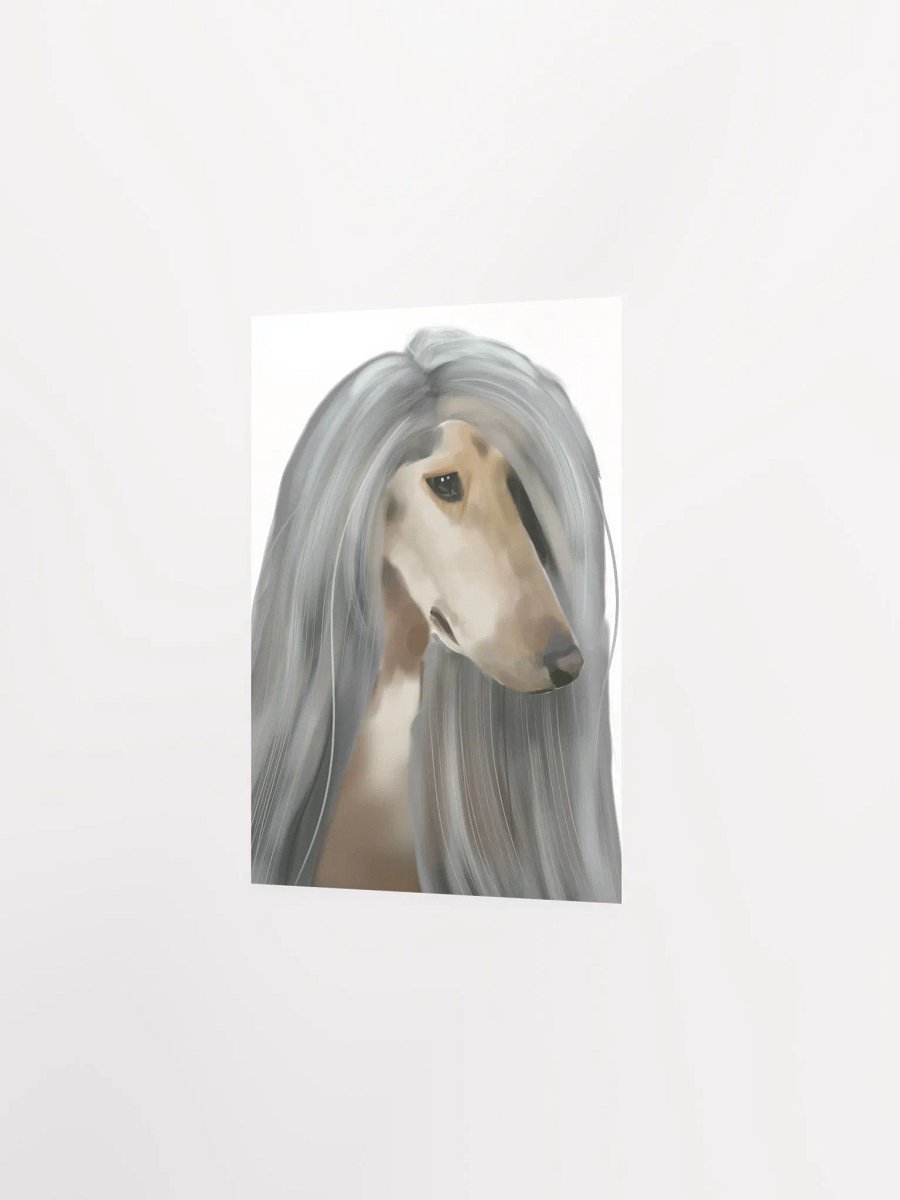 Afghan Hound product image (2)