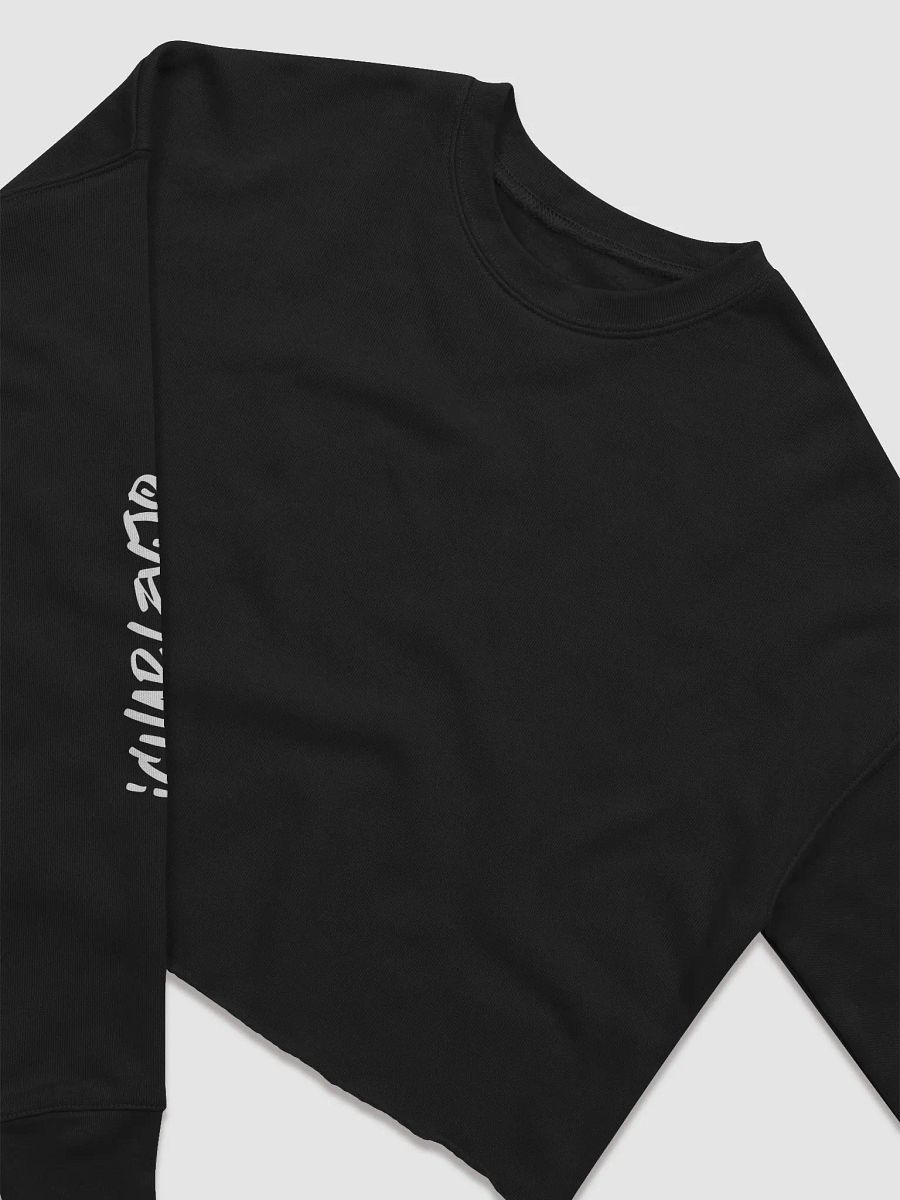 iCJ Eevee Card Crop Hoodie product image (9)
