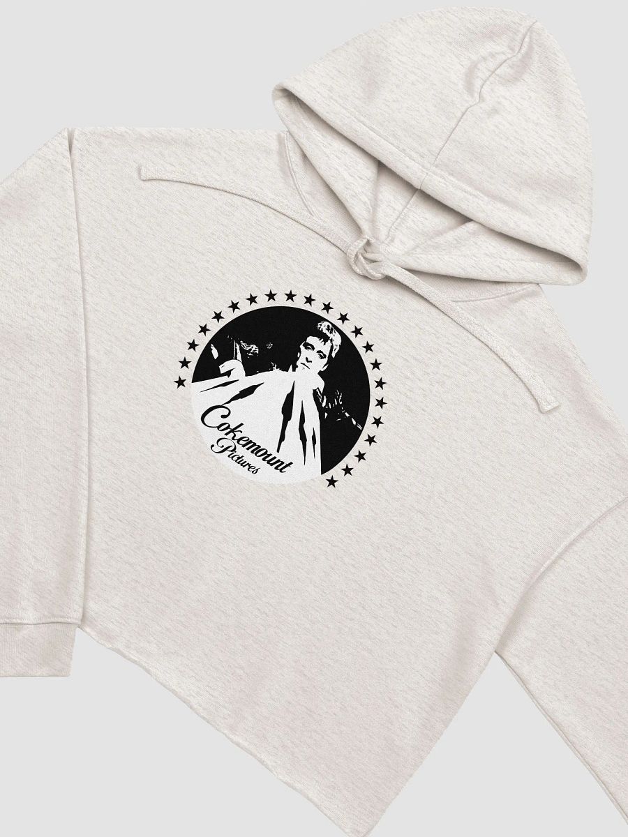 Cokemount Pictures Bella+Canvas Fleece Crop Hoodie product image (3)