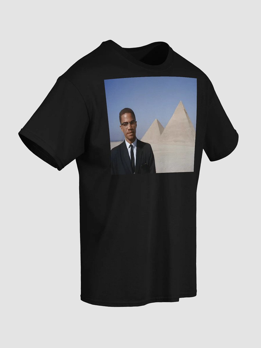 Malcolm X in Kemet product image (5)