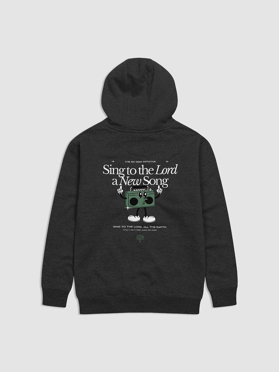 Psalms 96 Hoodie product image (2)