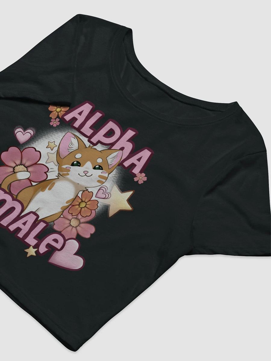 Alpha Male || Crop Top product image (9)