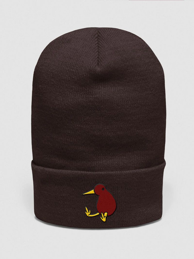 Jeremy Jr Beanie! (2)