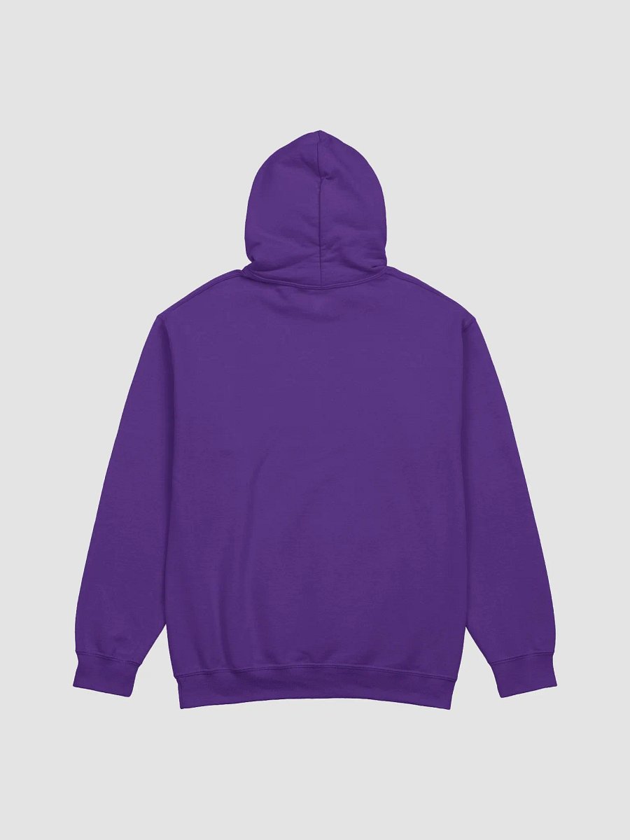 Unhinged Starry Hoodie product image (3)
