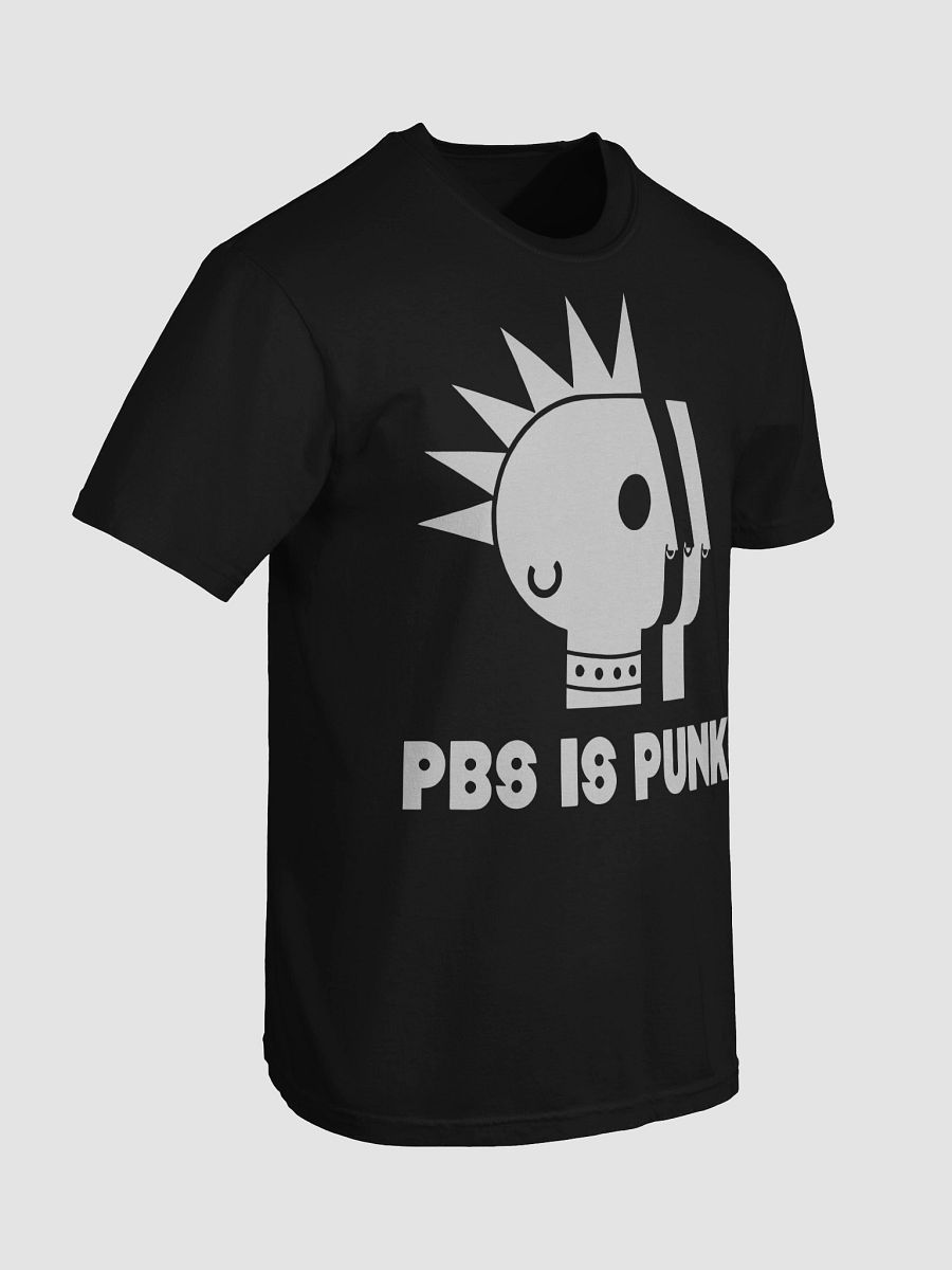 Two Crow Collective PBS Is Punk Shirt product image (90)