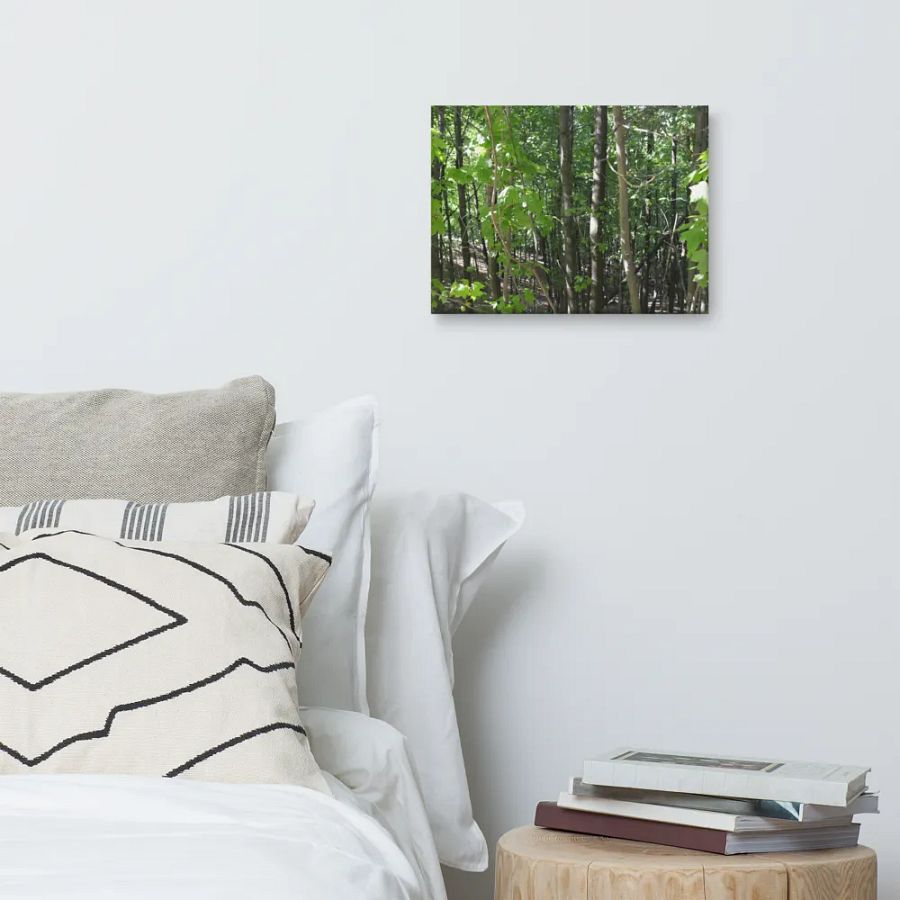 Empire Bluff Forest Canvas product image (6)