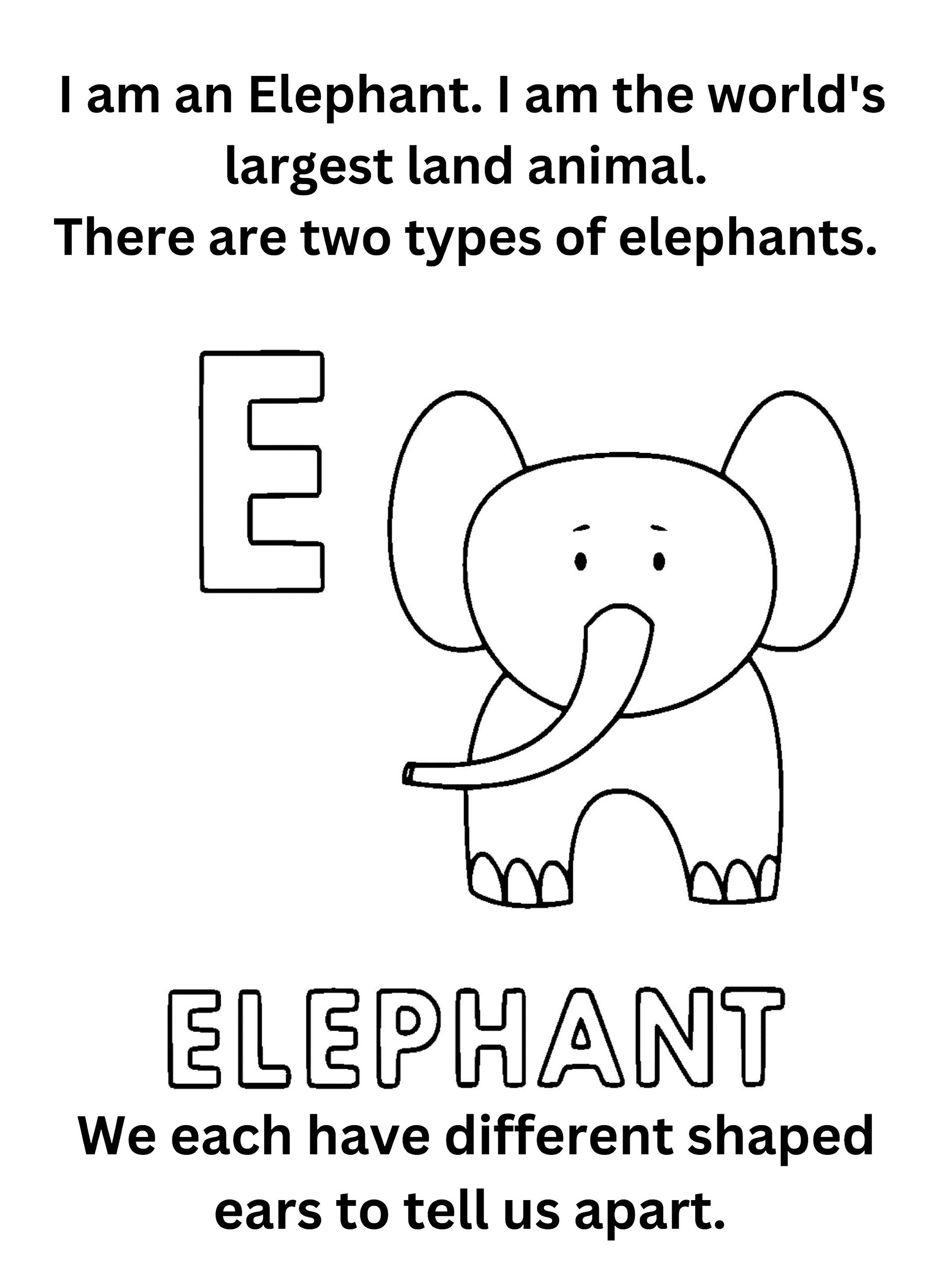 "Did You Know" Animal Facts Alphabet Coloring Pages product image (6)