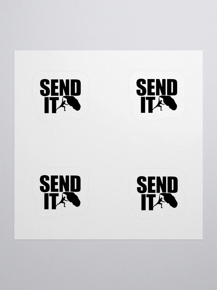 'SEND IT' Sticker Set product image (2)
