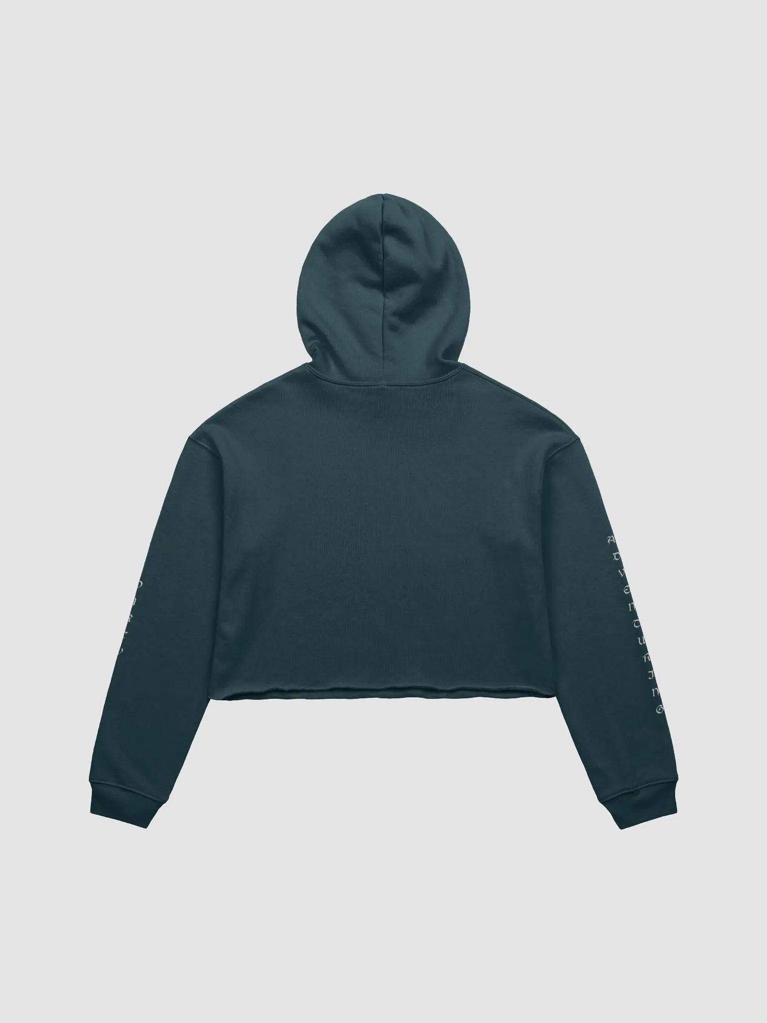 TrueTash Adventuring Party Crop Hoodie product image (4)