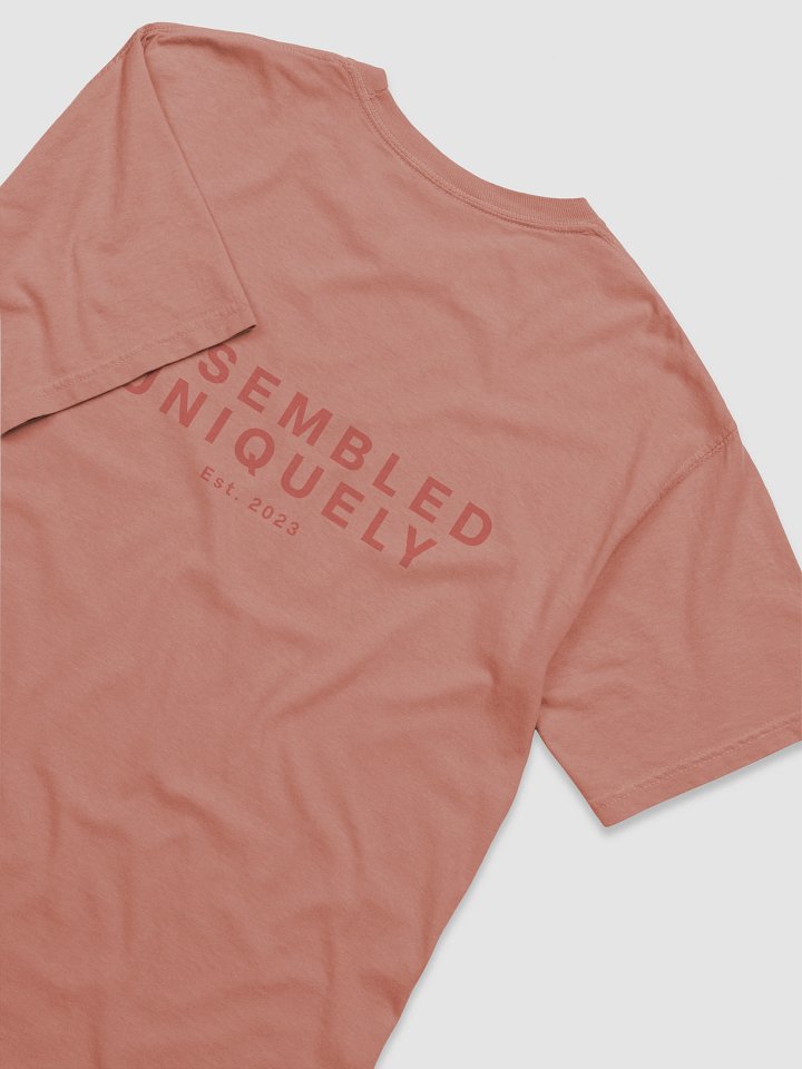 The Empire Tee (Terracotta Berry) product image (2)