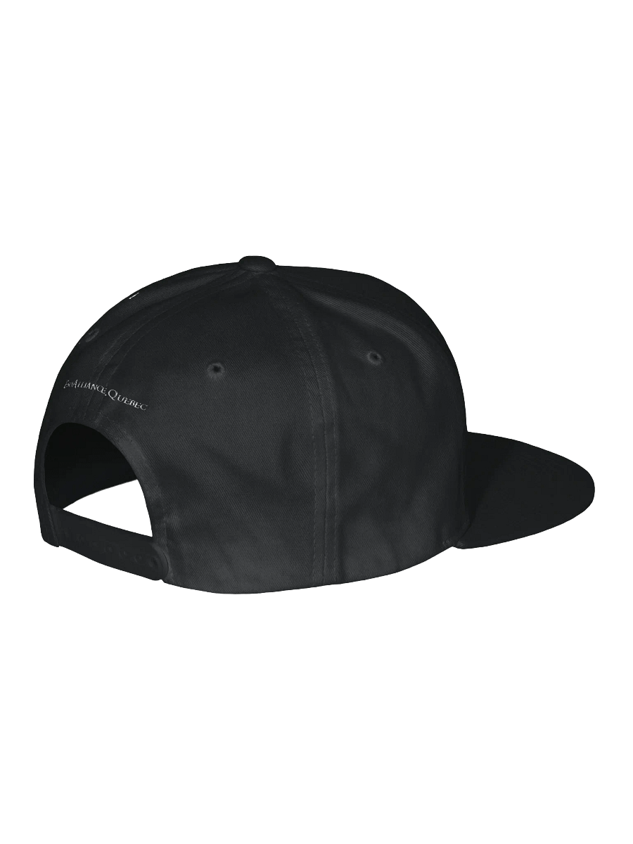 Yupoong Snapback Baby Oil | Brodé product image (5)