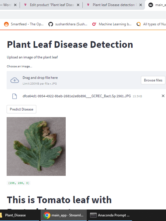 Plant leaf Disease detection Final Year Project with Streamlit App product image (7)