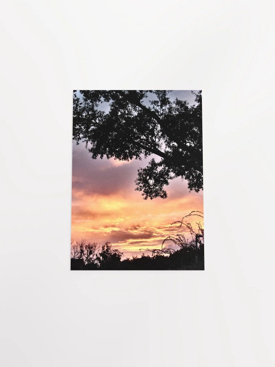 Florida Sunset 3 product image (43)