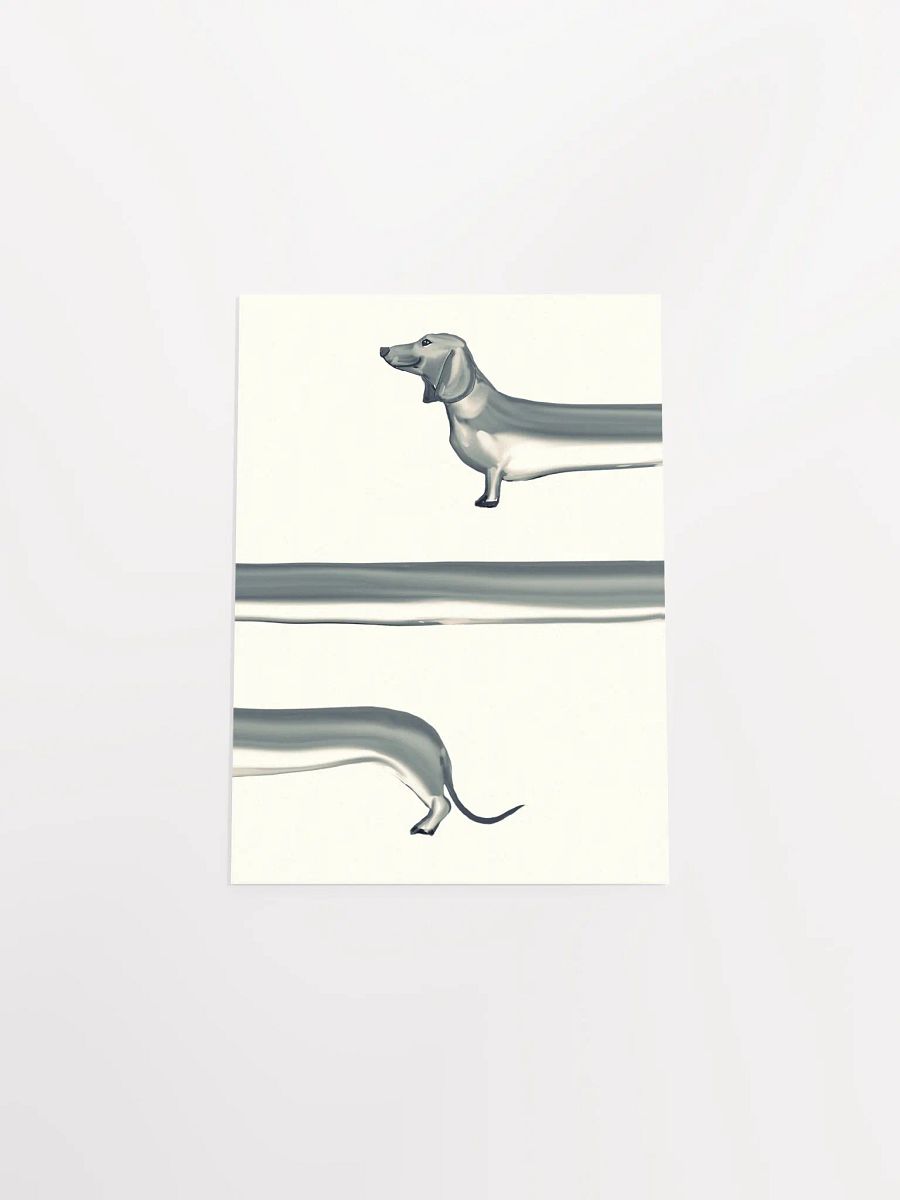 Stretchy Dachshund Delight Poster product image (36)