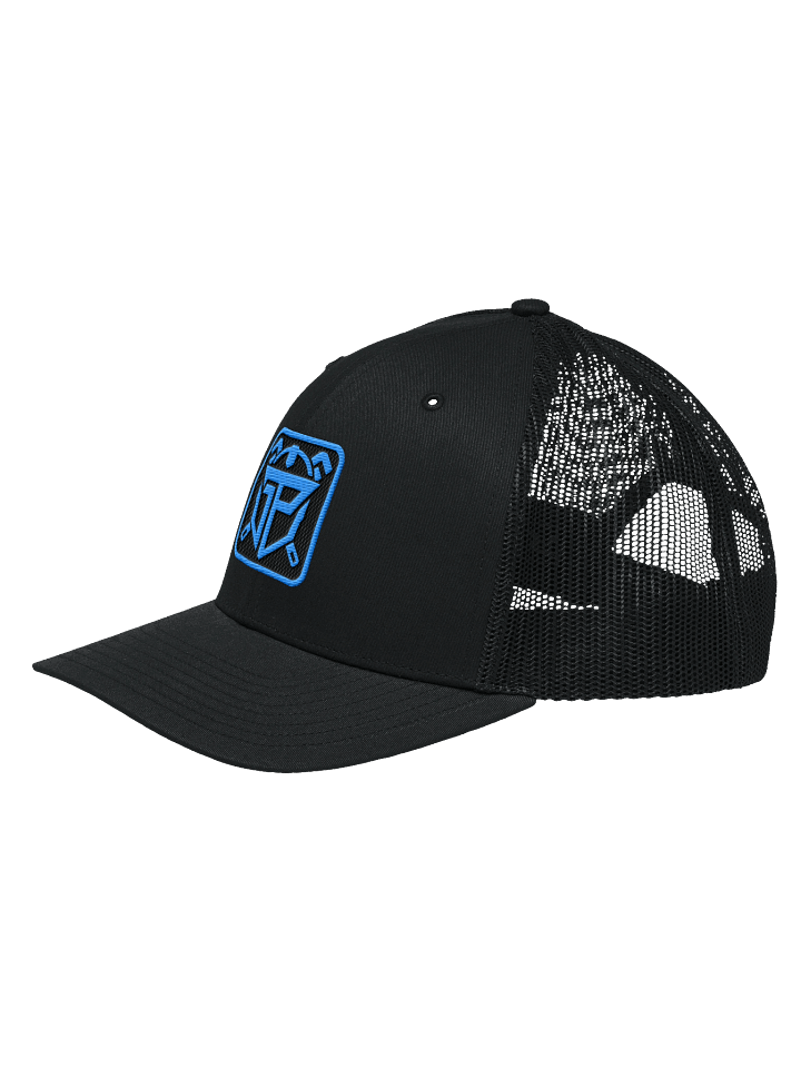 LEGACY BLUE LOGO HAT product image (2)