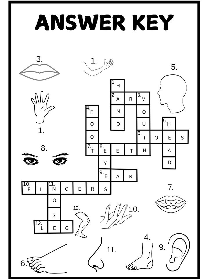 Body Parts Crossword Puzzle Printable product image (2)