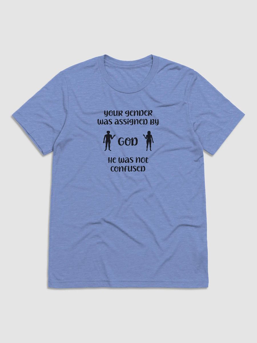 Your Gender Was Assigned by GOD. Tri-Blend Tee product image (1)