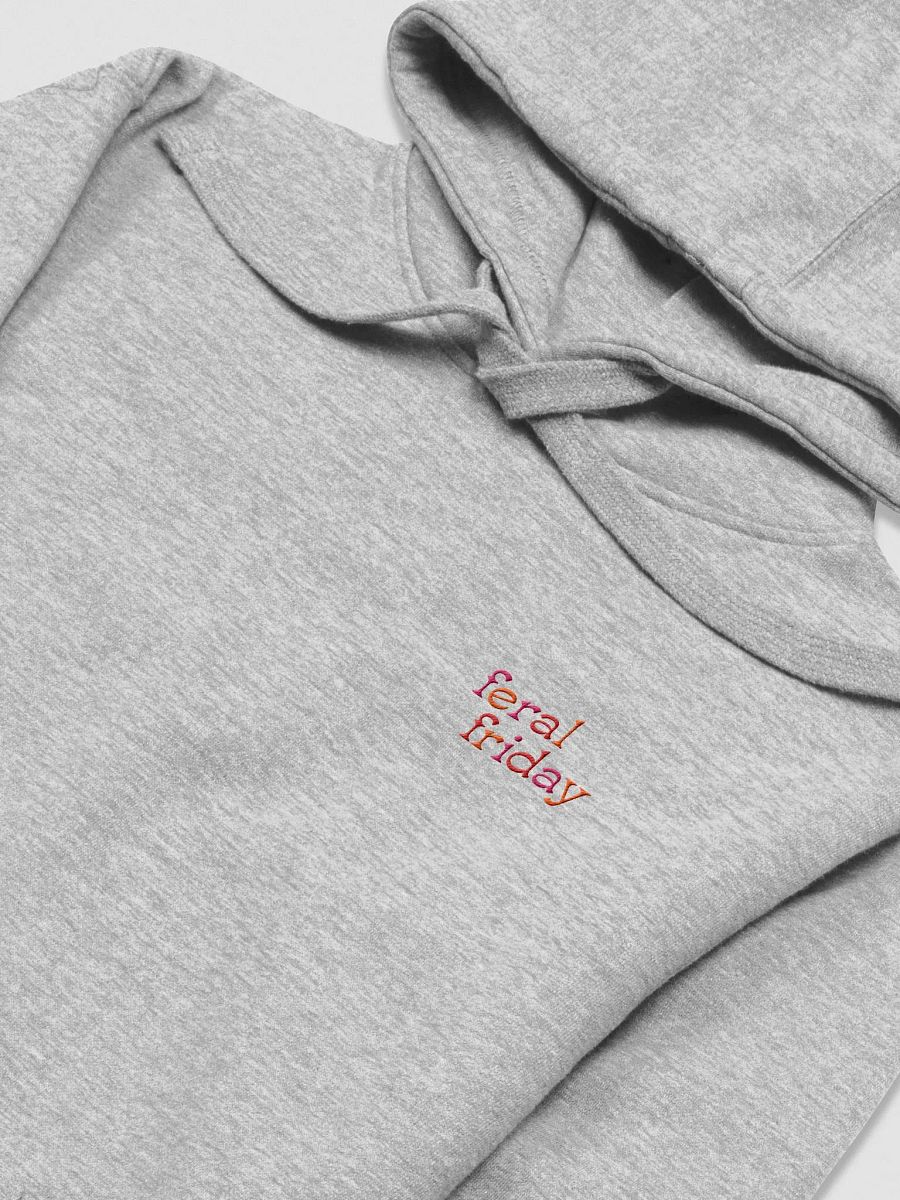 feral friday embroidered hoodie product image (1)