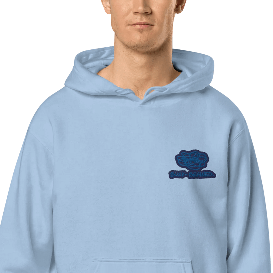 BUSY-BRAINED (L.C. lake design) embroidered pigment hoodie product image (1)