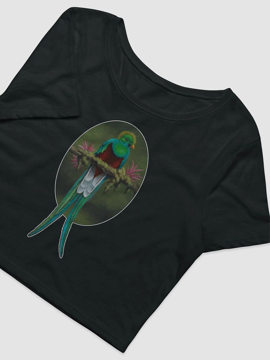Resplendent Quetzal - SFA Crop Tee product image (8)