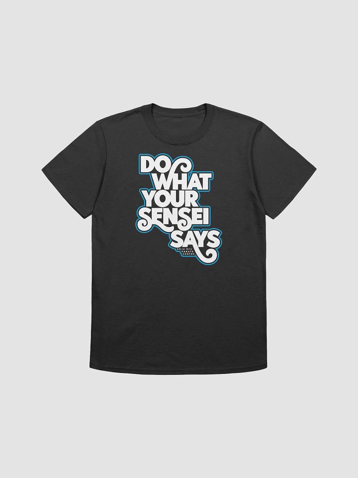DWYSS product image (1)
