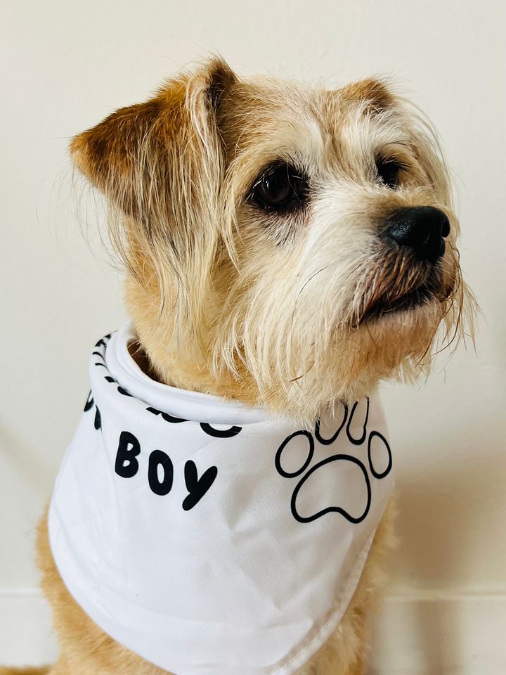 LTB A Good Boy Bandana product image (1)