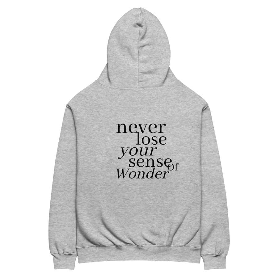Always Wonder Grey Unisex Premium Oversized Hoodie product image (5)