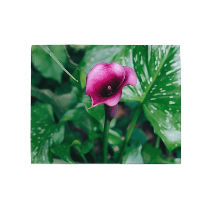 Love Joy Calla Lili Place Mats product image (7)