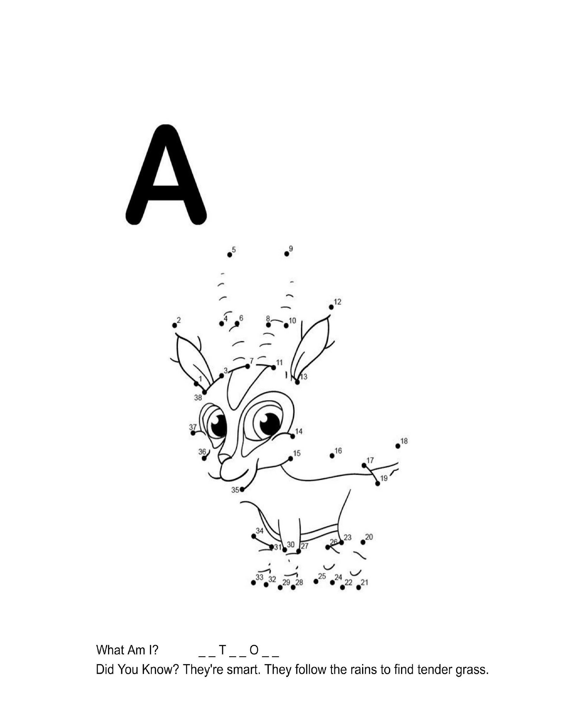 Dot to Dot Jungle Animals Coloring Book product image (2)