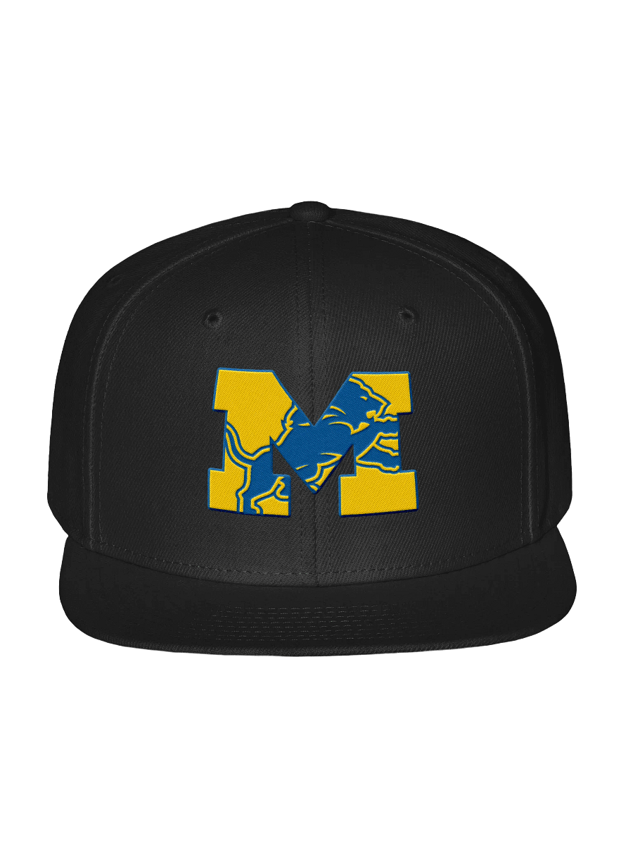 Michigan Lions Snap product image (1)