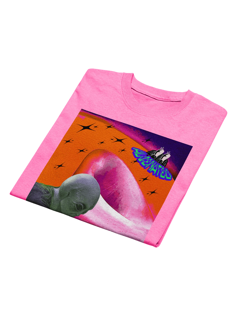 Copy of FCUK THEM Heavyweight Tee product image (48)