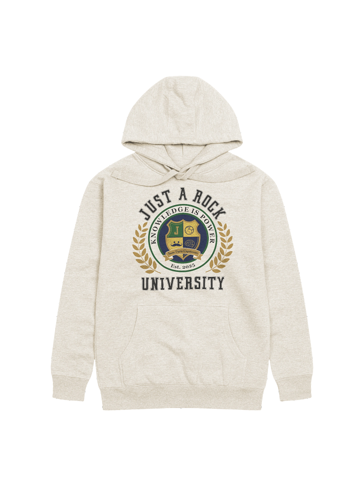 University Hoodie product image (2)