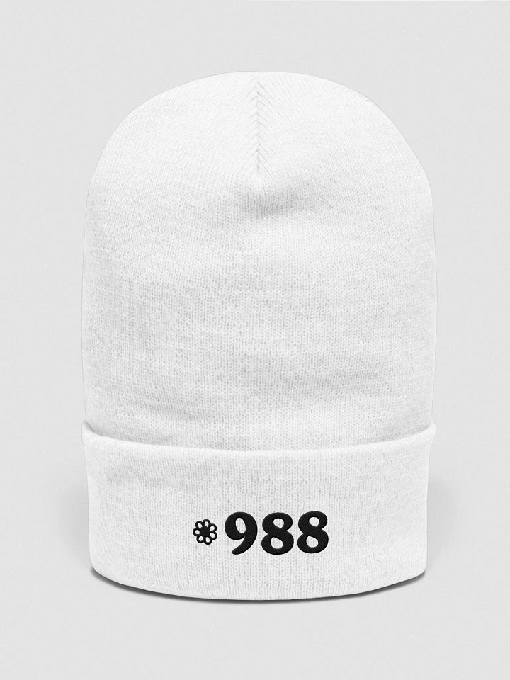 988 (Yupoong Cuffed Beanie) product image (16)