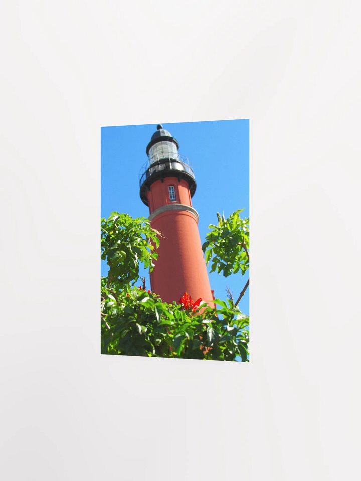 Light House w/ Cape Honeysuckle product image (16)