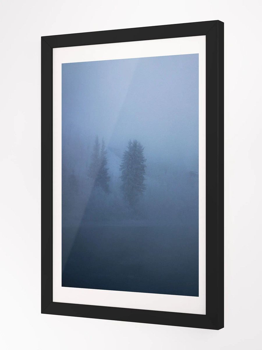 Foggy Trees product image (2)
