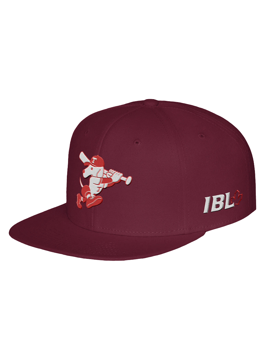 Galt Terriers Legacy Cap product image (10)