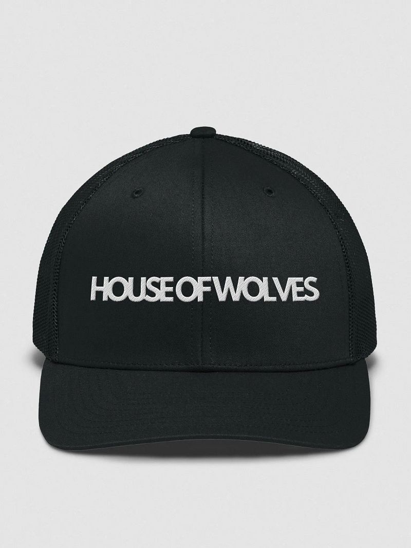 The Bassline Snapback
