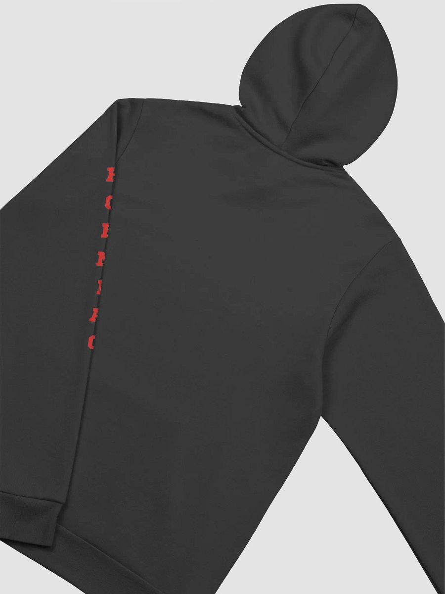 Horns Over Hoops 'Horniac' Hoodie product image (4)