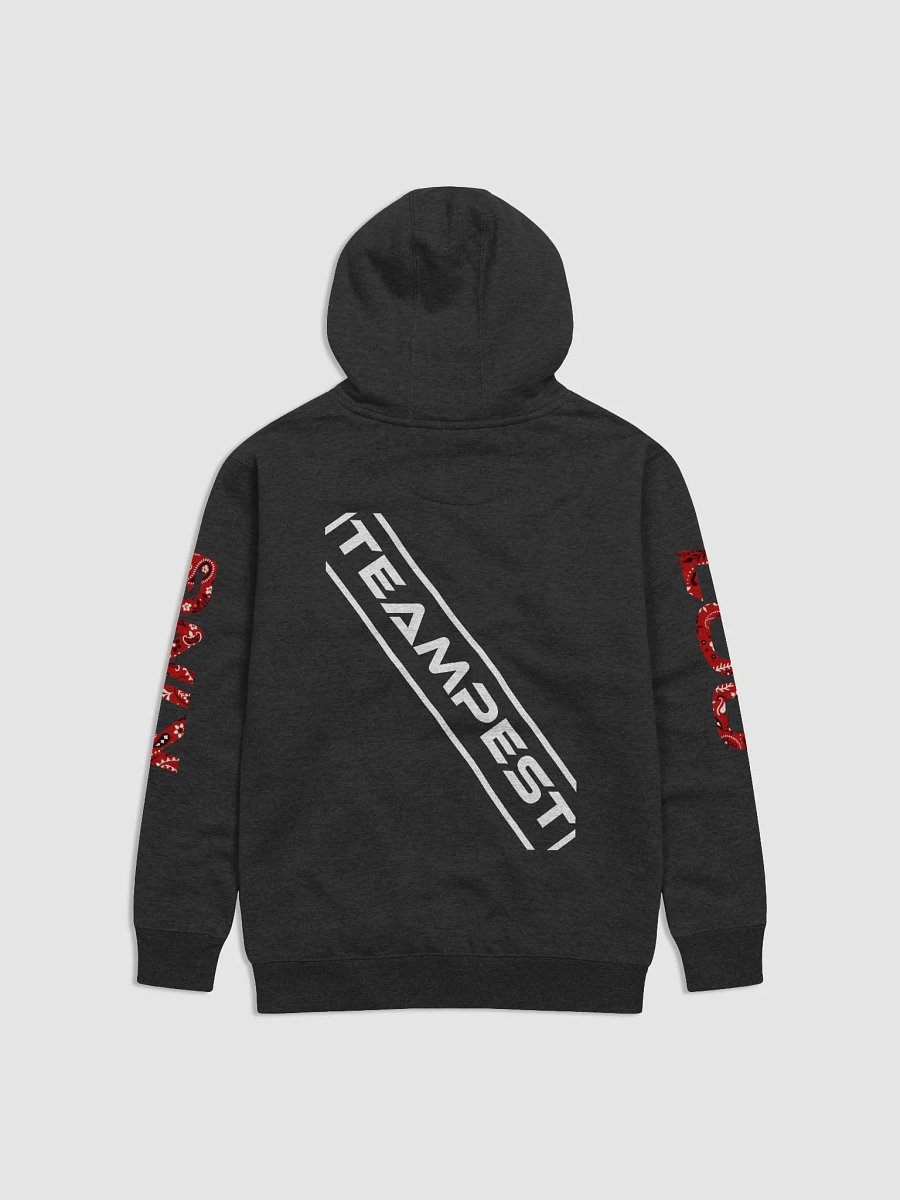 King Lou X TeamPEST Unisex Hoodie product image (2)