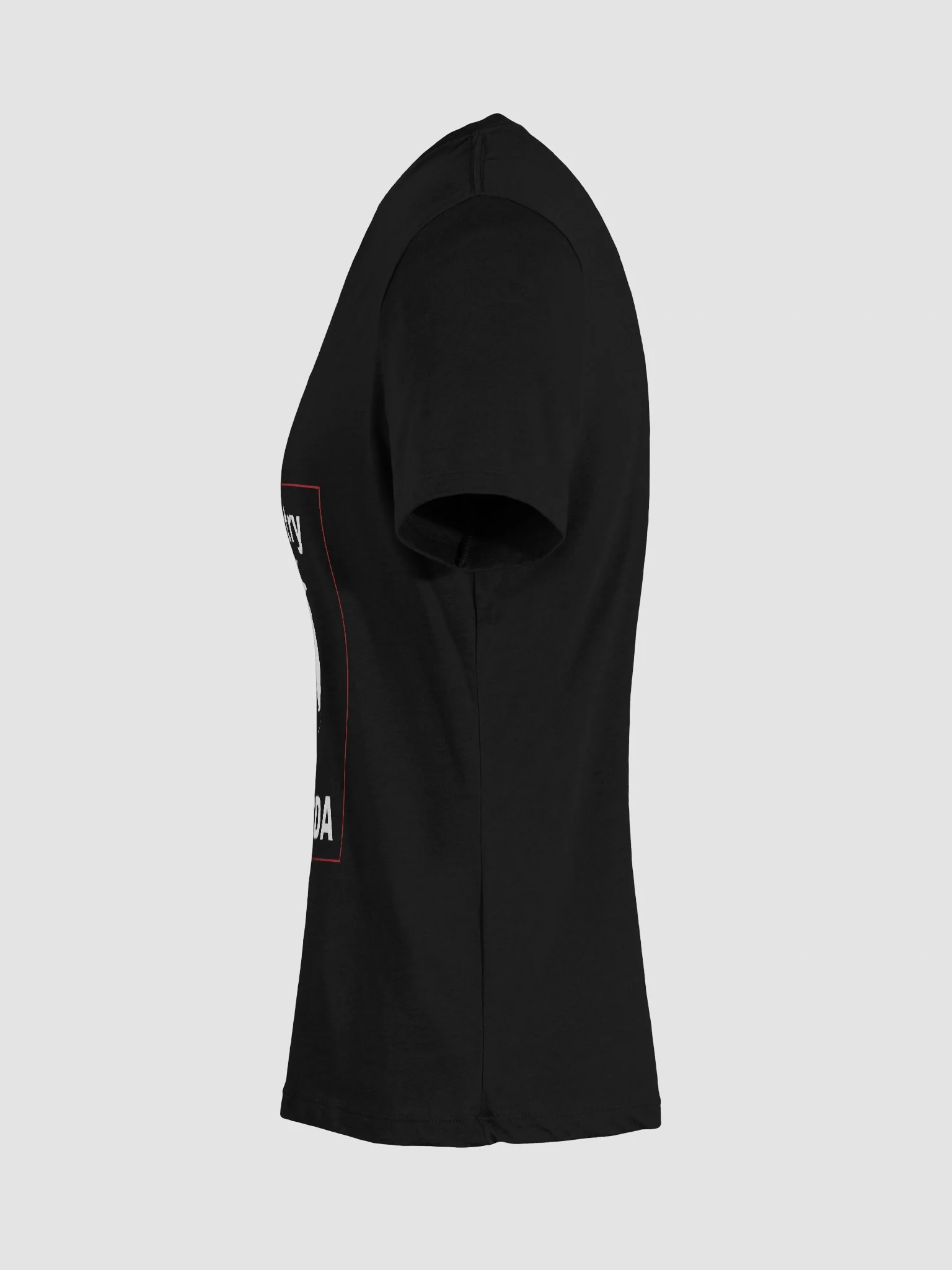 Don't Try To New York Our Florida product image (10)