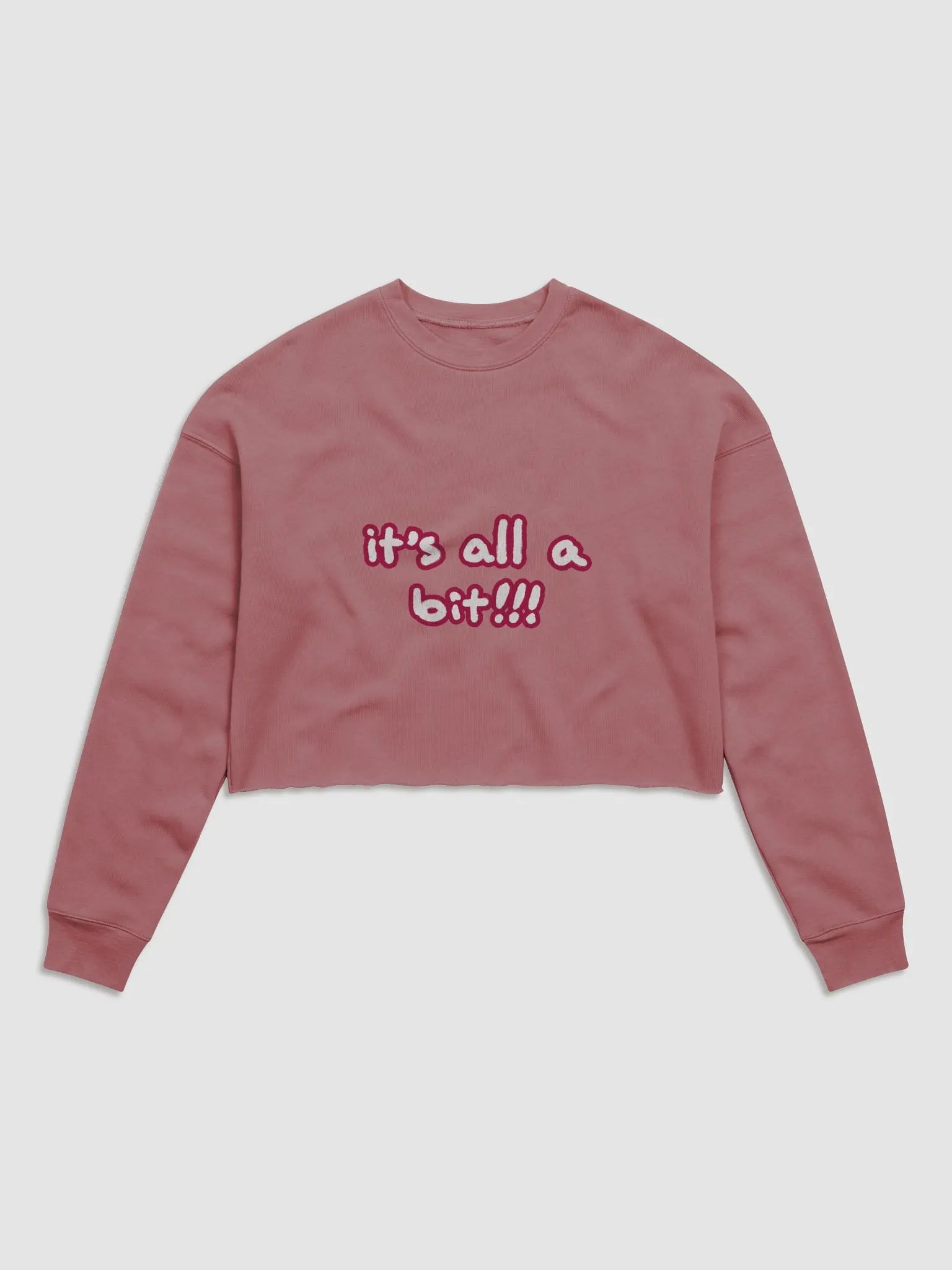 “It’s all a bit!!!” (sm. lined design, #A6073C) Women's Fleece Crop Sweatshirt product image (26)