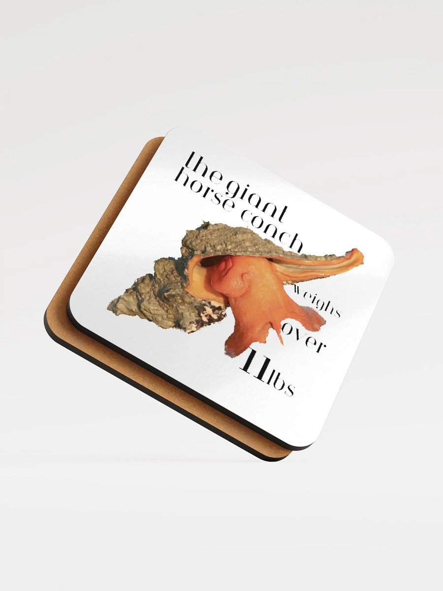 Conch Coaster product image (5)