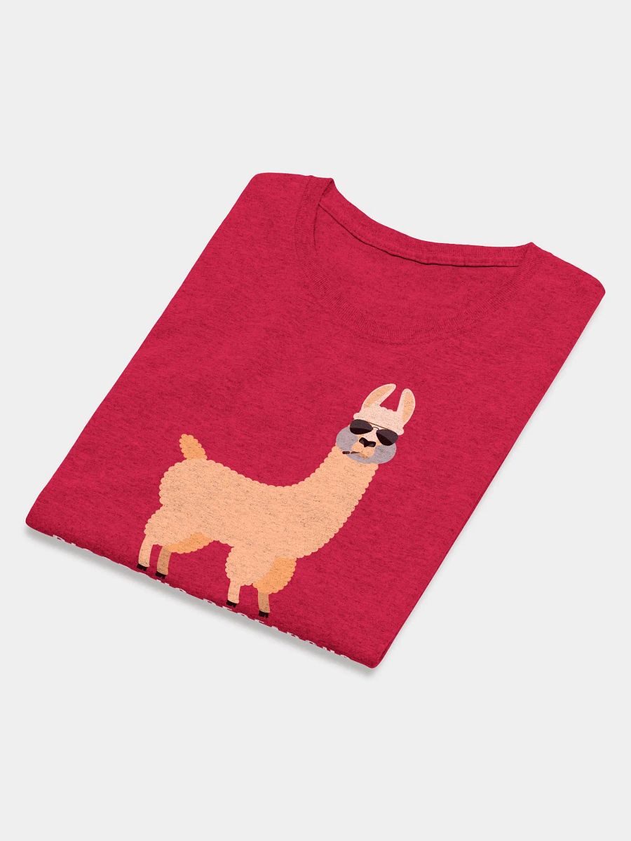 Rigorous Research? No Prob-Llama! (Women's) product image (17)
