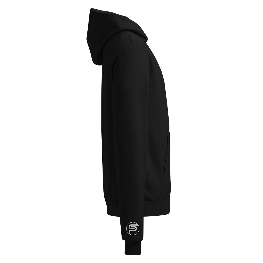TSP - Embroidered Hoodie product image (4)