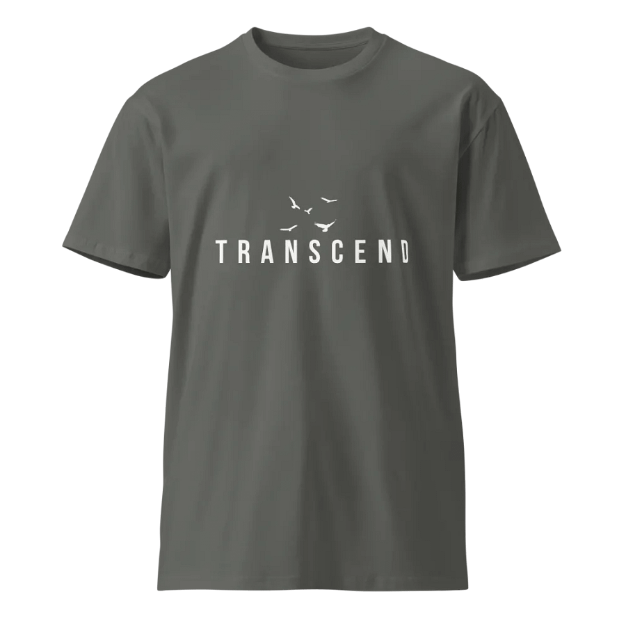 Transcend Unisex Grey T-Shirt product image (1)