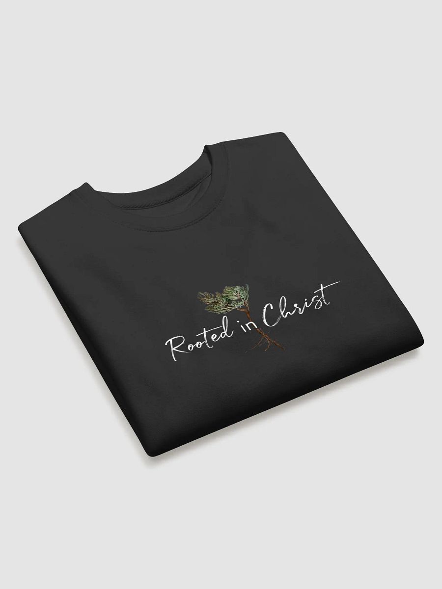 Rooted in Christ Premium Sweatshirt product image (3)